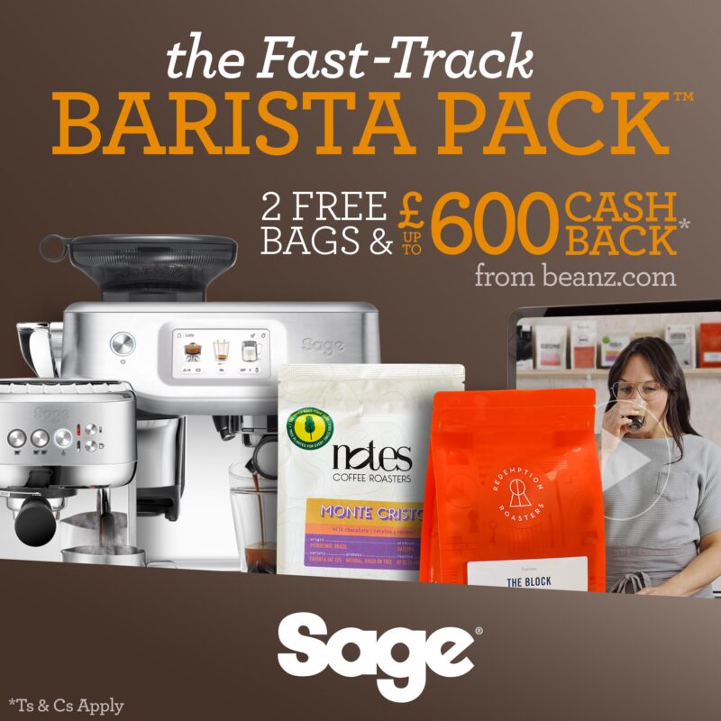 Sage Bambino Plus – Compact ThermoJet Espresso Machine with Auto Milk Frother, Black Truffle - Image 3